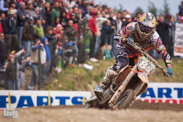 herlings