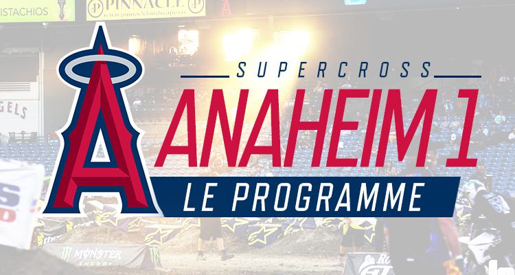 programme