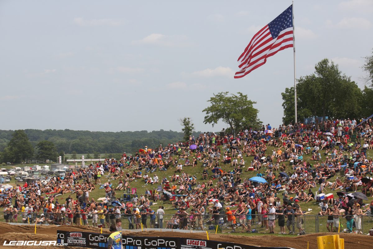 redbud_sp_lbu_-19